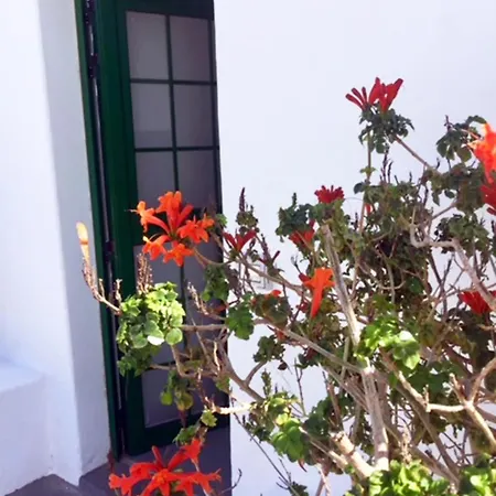 Matagorda Tías